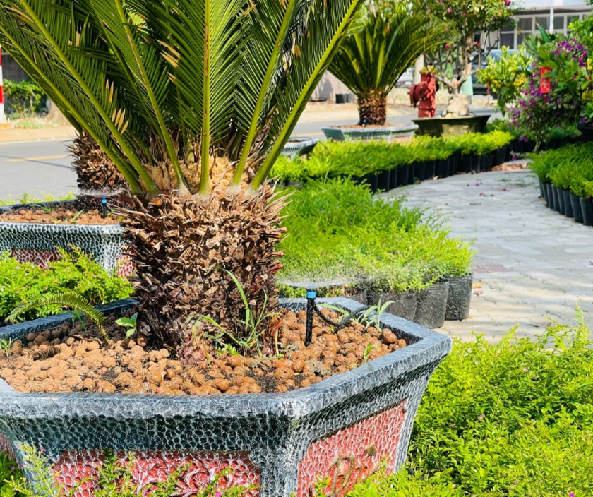 thiết bị tưới thông minh