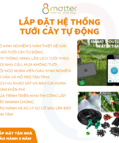 hệ thống tưới cây tự động