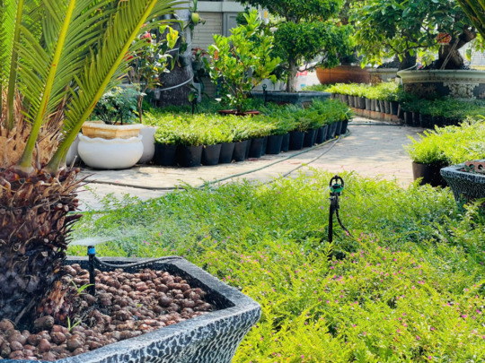 hệ thống tưới cây tự động