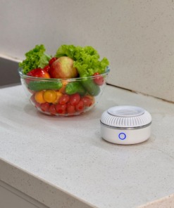 máy rửa thực phẩm cầm tay