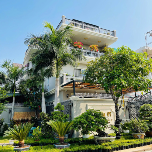 hệ thống tưới cây tự động