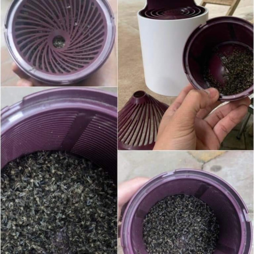 máy bắt muỗi